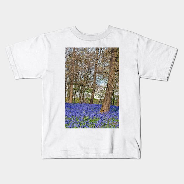 Bluebell Woods Greys Court Oxfordshire England Kids T-Shirt by AndyEvansPhotos